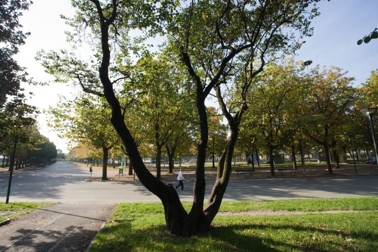 TORINO – PARCO RUFFINI 27-28 Settembre 2025